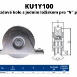 KU1Y100